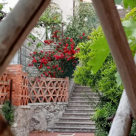 Caviglia Citra 09029-lt-0618 피날레리구레