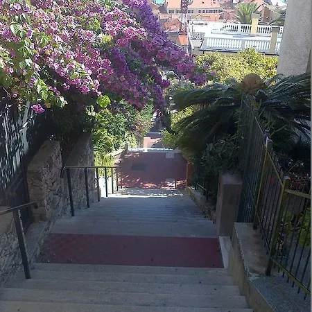 Caviglia Citra 09029-lt-0618