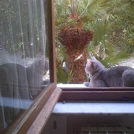 Caviglia Citra 09029-lt-0618 아파트 피날레리구레