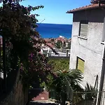 Caviglia Citra 09029-lt-0618