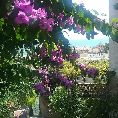 Caviglia Citra 09029-lt-0618 Διαμέρισμα