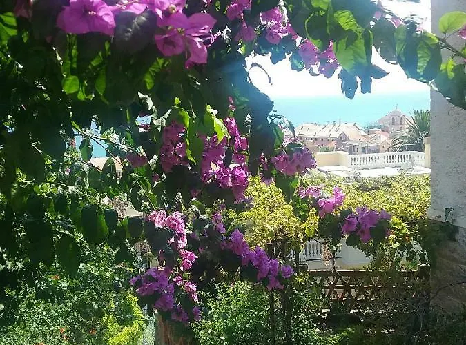 Caviglia Citra 09029-lt-0618 Appartement